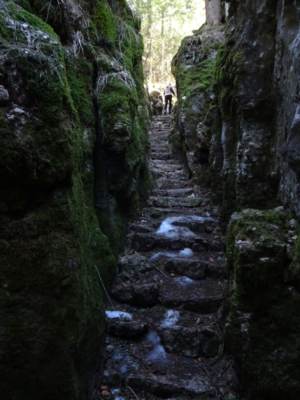 Forra del Lupo - Serrada (TN)